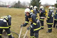 FF_APL_2011_ 117